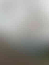 A family in front of the Yup star Ferris wheel