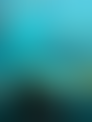 Fish tanks at Bergen Aquarium