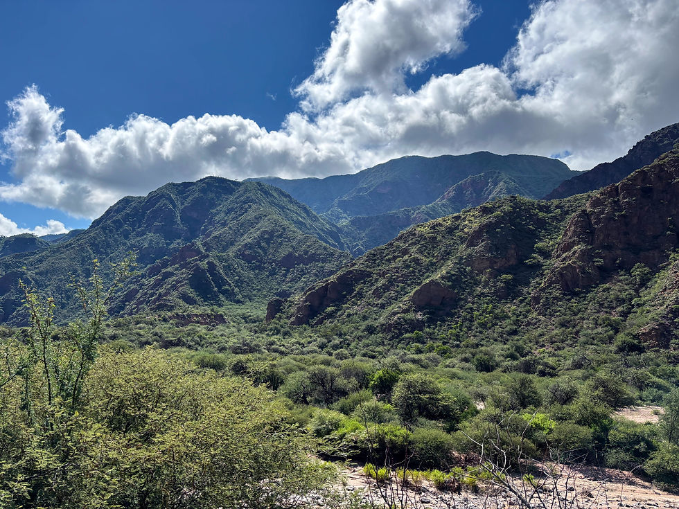 Northern Argentina Road Trip, Green HIlls