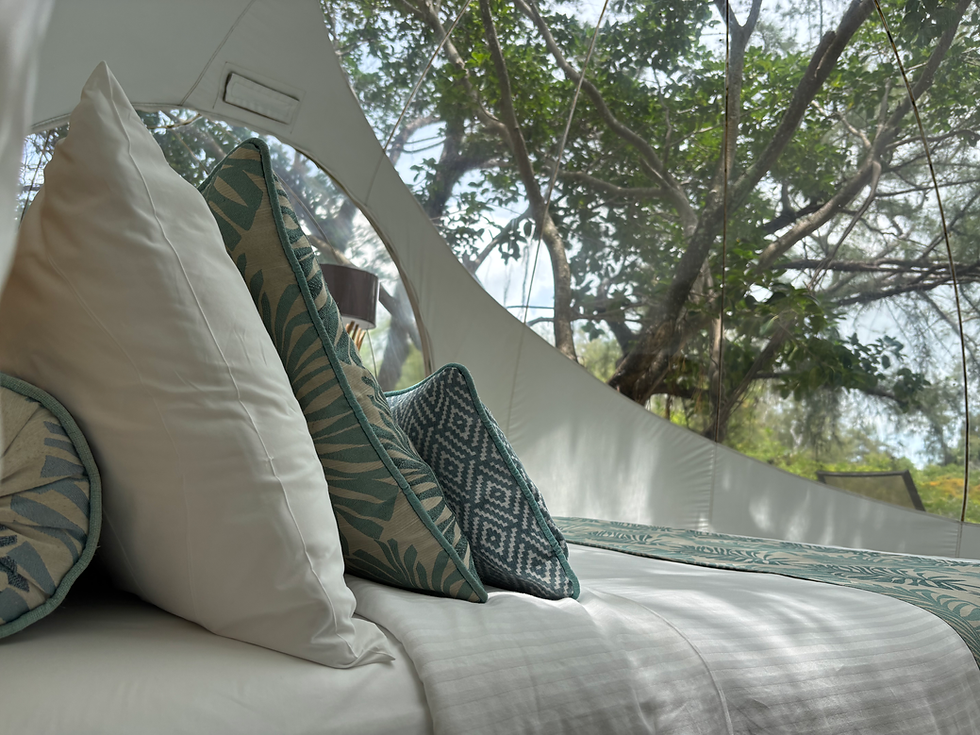 Bedroom view Ile Aux Cerfs, Bubble Lodge