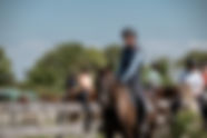 Experience_Normande___balade_a_cheval_autour_des_haras__Merville-Franceville_-_Thomas_Le_F