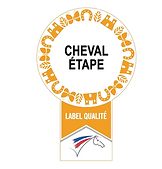 cheval étape