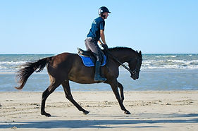 galop plage.jpg