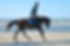 galop plage.jpg