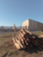 clotures en parfait état