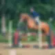 saut d'obstacle