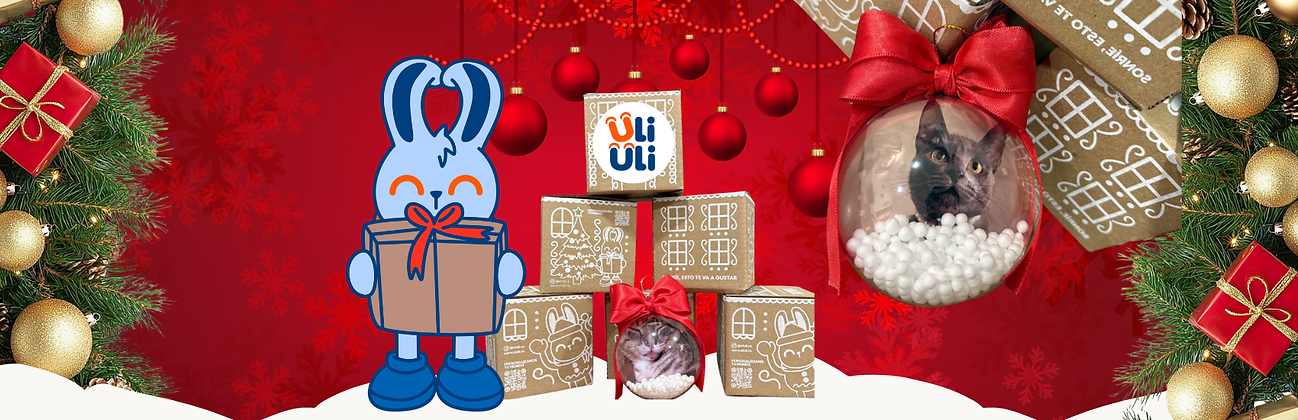 Plantilla Banner NAVIDAD 2.png