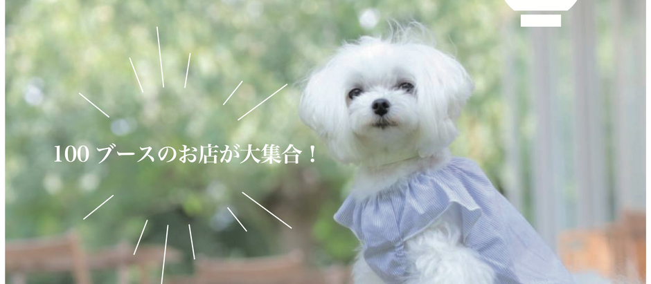 【告知】次回の犬祭について