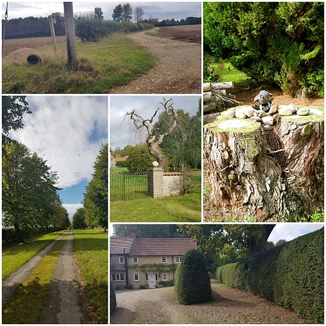 Kirkbymoorside local walk