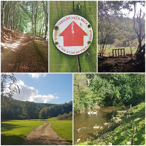 Walks from Kirkbymoorside