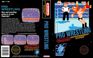 Pro Wrestling (USA).png