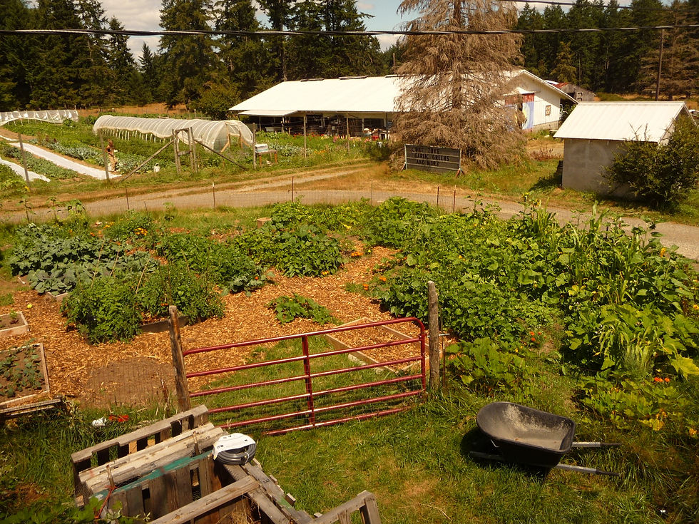 Bacon Seed Nursery