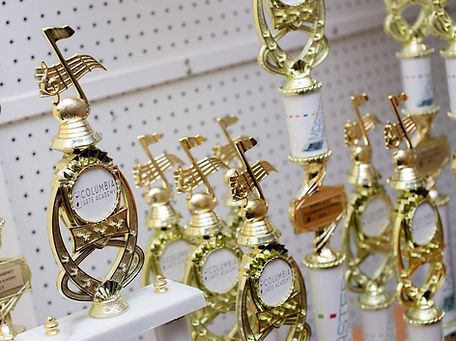 9. Trophies, certificates and award wris