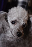DSC05802.jpg