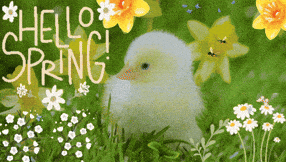 Spring 1.gif