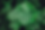 56.png