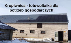 Kropiwnica