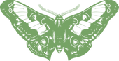 NuitBlanche Moth green.png