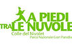 img-9501--32-968-0-0-e6bdf6a7f51a0275f3108fceaa29cf68.jpeg