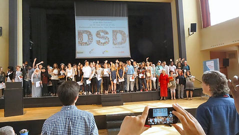 dsdi.jpg