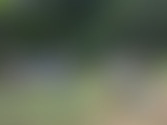 Kahuwai Lawaiʻa Fishing Camp