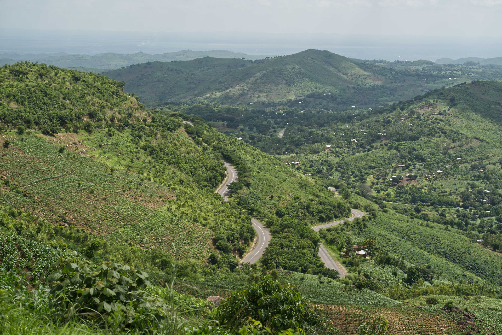 An areal view of the same section of the M1 after planting trees