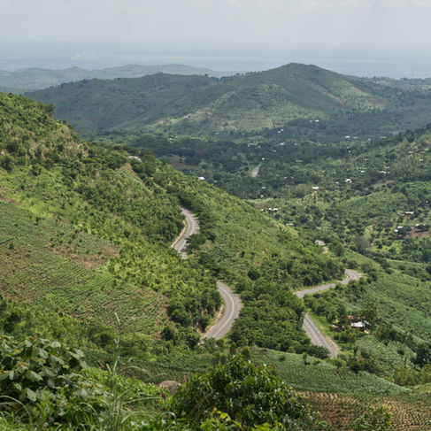 An areal view of the same section of the M1 after planting trees