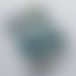 Die neue Plakatvorlage zur "Langen Nacht der Naturparke"!