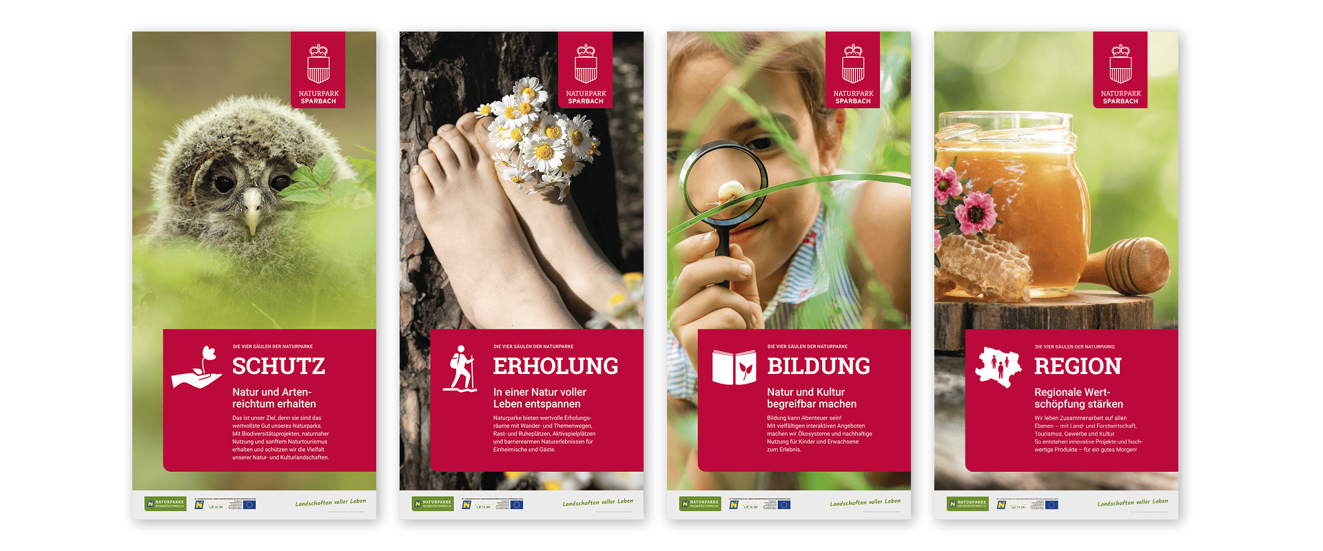 4 Säulen_Gesamt.png