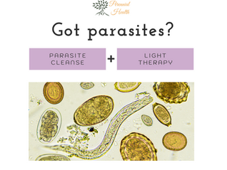 All About Parasite Cleanses