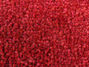 Solid Red - ColorStar 