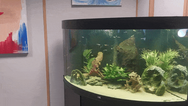 daycentre-gif5.gif