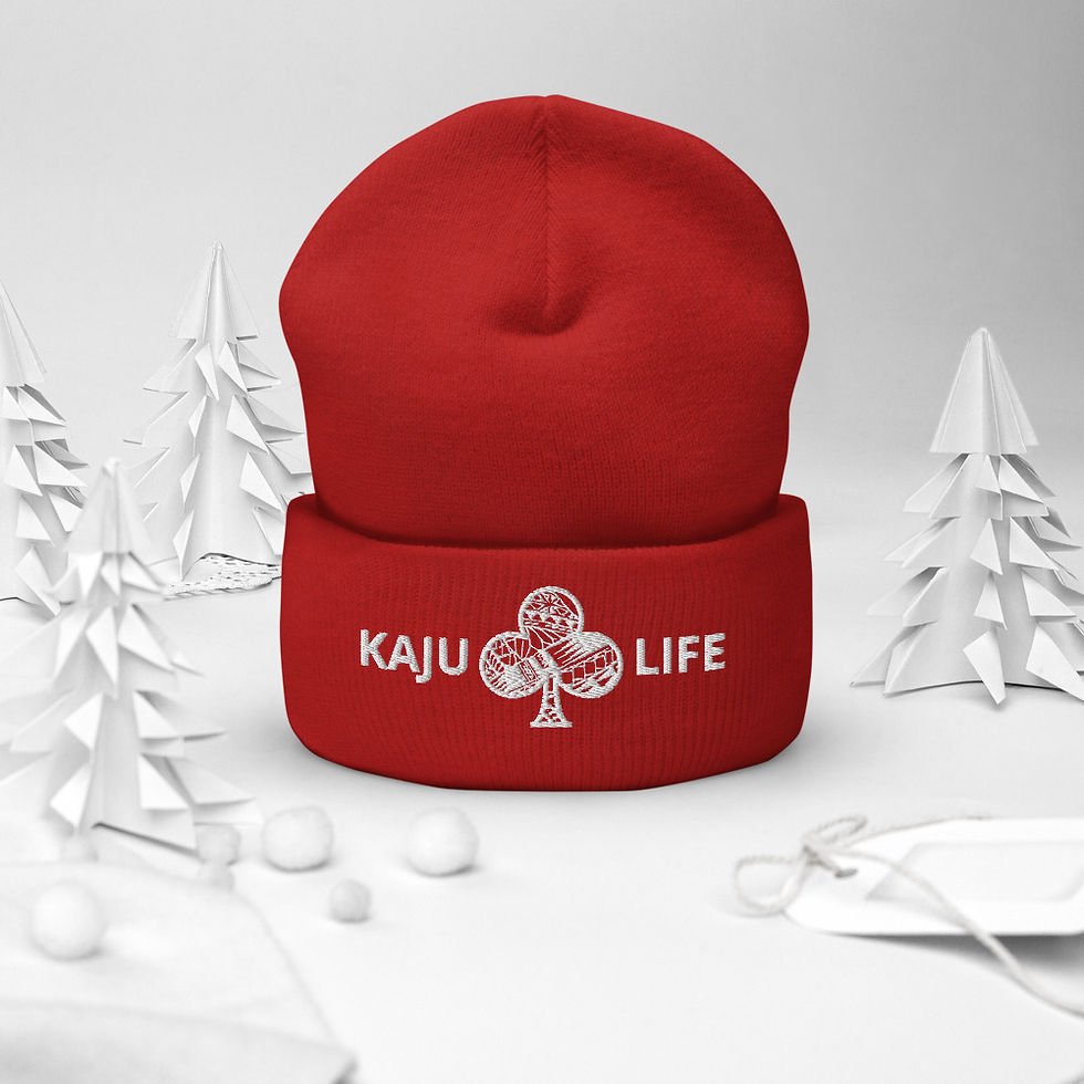 Thumbnail: Cuffed Beanie Kaju Life