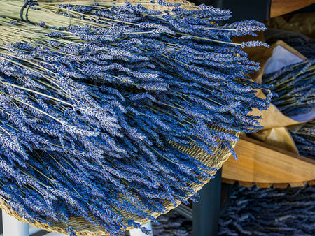 A large bundle of dried lavender in a woven basket, with more bundles in wooden crates at Lavender & Black
