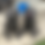 Thumbnail: Product of Maximus and Bella