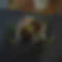 Untitled design (9).png