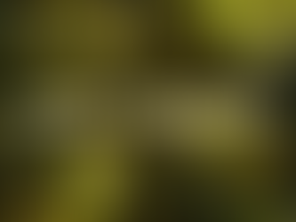 A Light in the Darkness: How Canadians Can Bring It Home in 2025