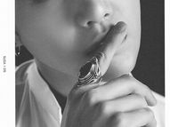Wings Concept Book: Suga