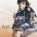 BoA-4.jpg