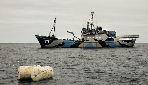 The Steve Irwin boat alonside an illegal fishing net | StellaWrites blog | Stella Logan | Australian English Content Writer, Copyeditor, Proofreader