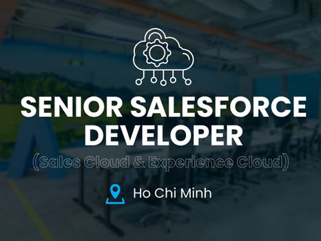 01 Senior Salesforce Developer (Sales Cloud & Experience Cloud)