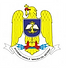 Academia Navala_logo.png