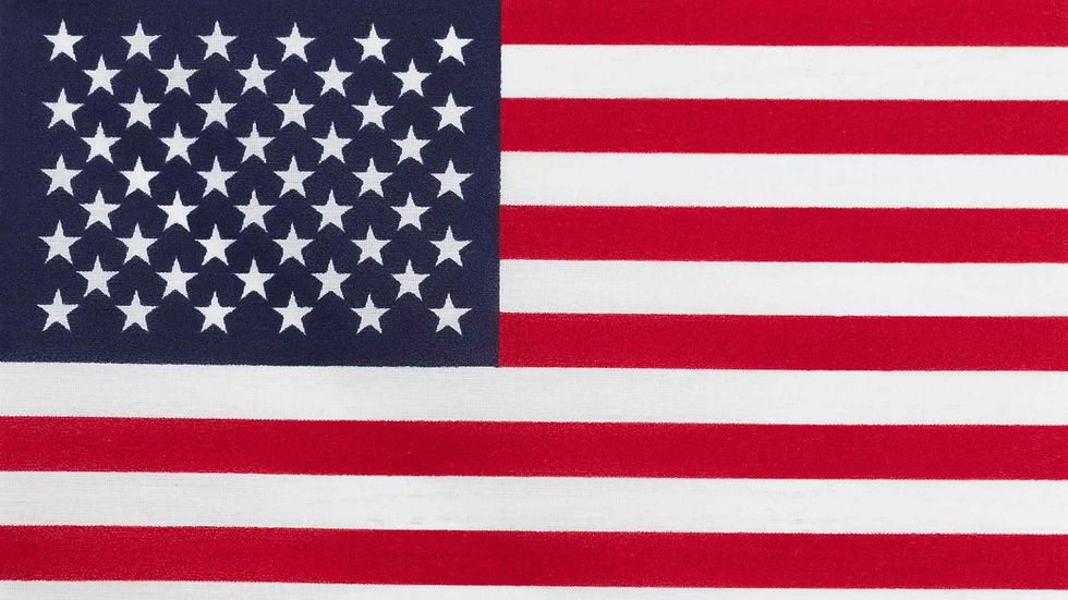 amerika ev almak