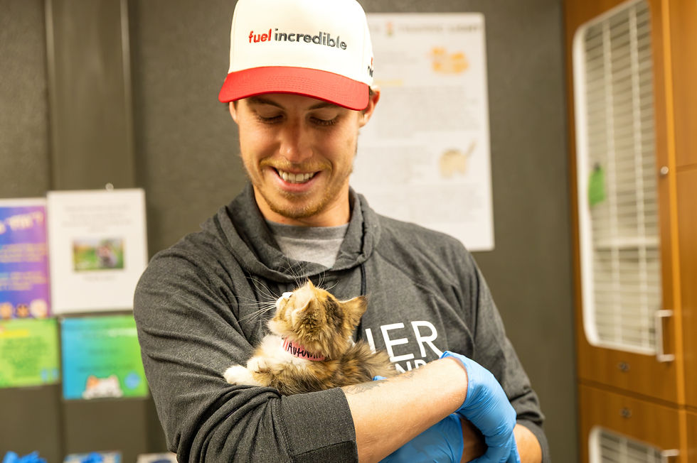 Mitch Marner holding a cat.