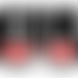 A New Chapter: The Evolution from Carlson Solutions to CRM Hacker