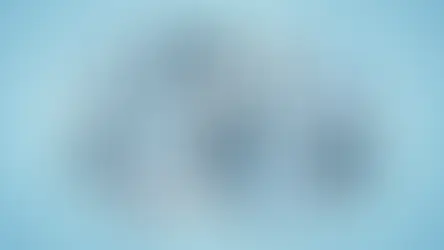 Quote-to-Cash and Auto-Renewal Systems