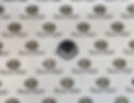 Boars Head Paper.jpg