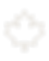 Icon d'une feuille d'érable