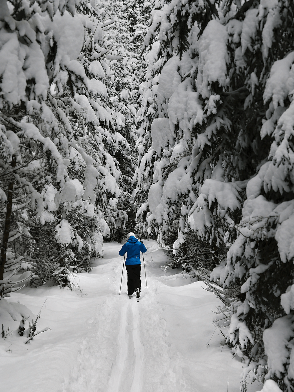 Skieur de fond dans une forêt enneigée
