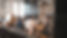 bantersnaps-5U_28ojjgms-unsplash.jpg